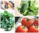 Easy Nutrition Tips For Spring Health